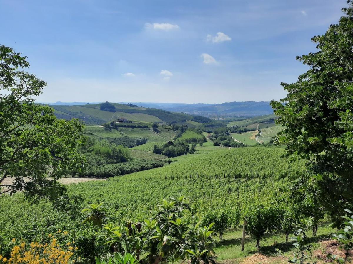 Ca Trifolera Barbaresco - Romantico Cascinale Con Antica Cantina Nel Cuore Delle Langhe - Degustazione Vini Nella Nostra Cantina 외부 사진