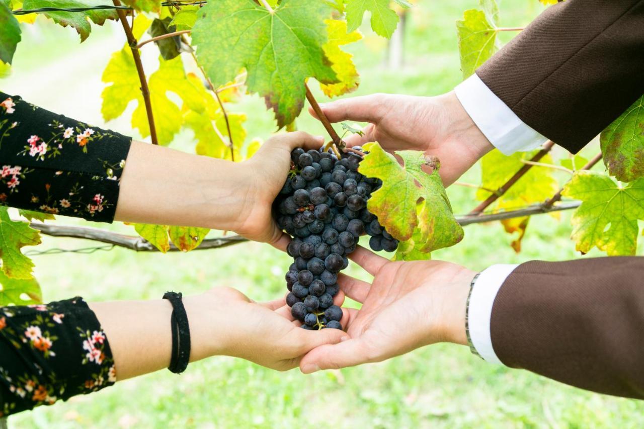 Ca Trifolera Barbaresco - Romantico Cascinale Con Antica Cantina Nel Cuore Delle Langhe - Degustazione Vini Nella Nostra Cantina 외부 사진