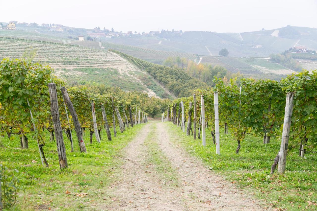 Ca Trifolera Barbaresco - Romantico Cascinale Con Antica Cantina Nel Cuore Delle Langhe - Degustazione Vini Nella Nostra Cantina 외부 사진