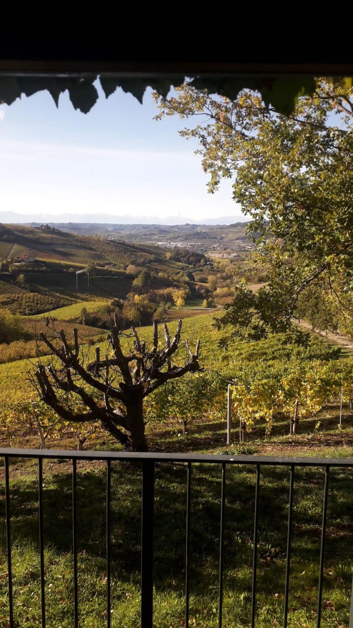 Ca Trifolera Barbaresco - Romantico Cascinale Con Antica Cantina Nel Cuore Delle Langhe - Degustazione Vini Nella Nostra Cantina 외부 사진