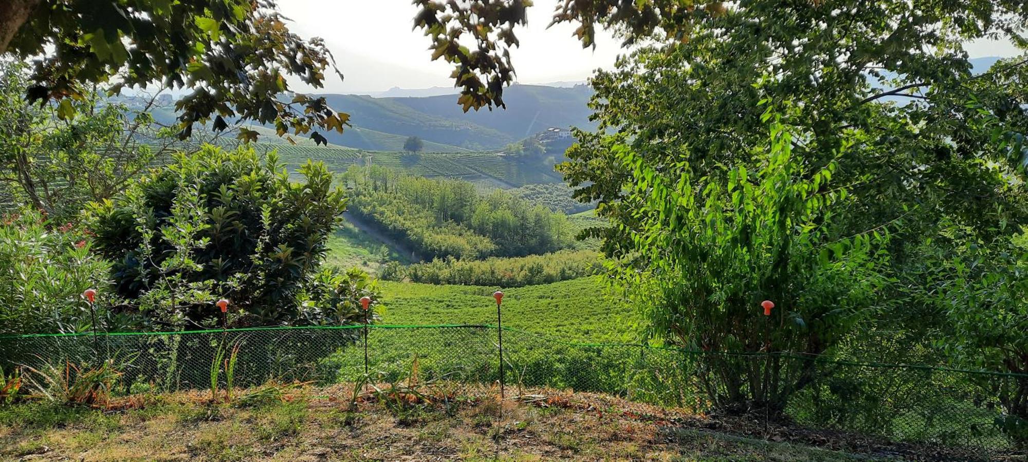 Ca Trifolera Barbaresco - Romantico Cascinale Con Antica Cantina Nel Cuore Delle Langhe - Degustazione Vini Nella Nostra Cantina 외부 사진