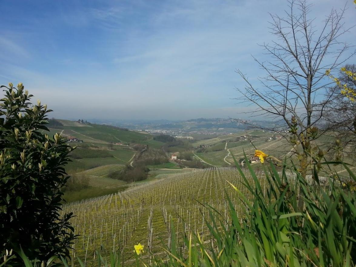 Ca Trifolera Barbaresco - Romantico Cascinale Con Antica Cantina Nel Cuore Delle Langhe - Degustazione Vini Nella Nostra Cantina 외부 사진
