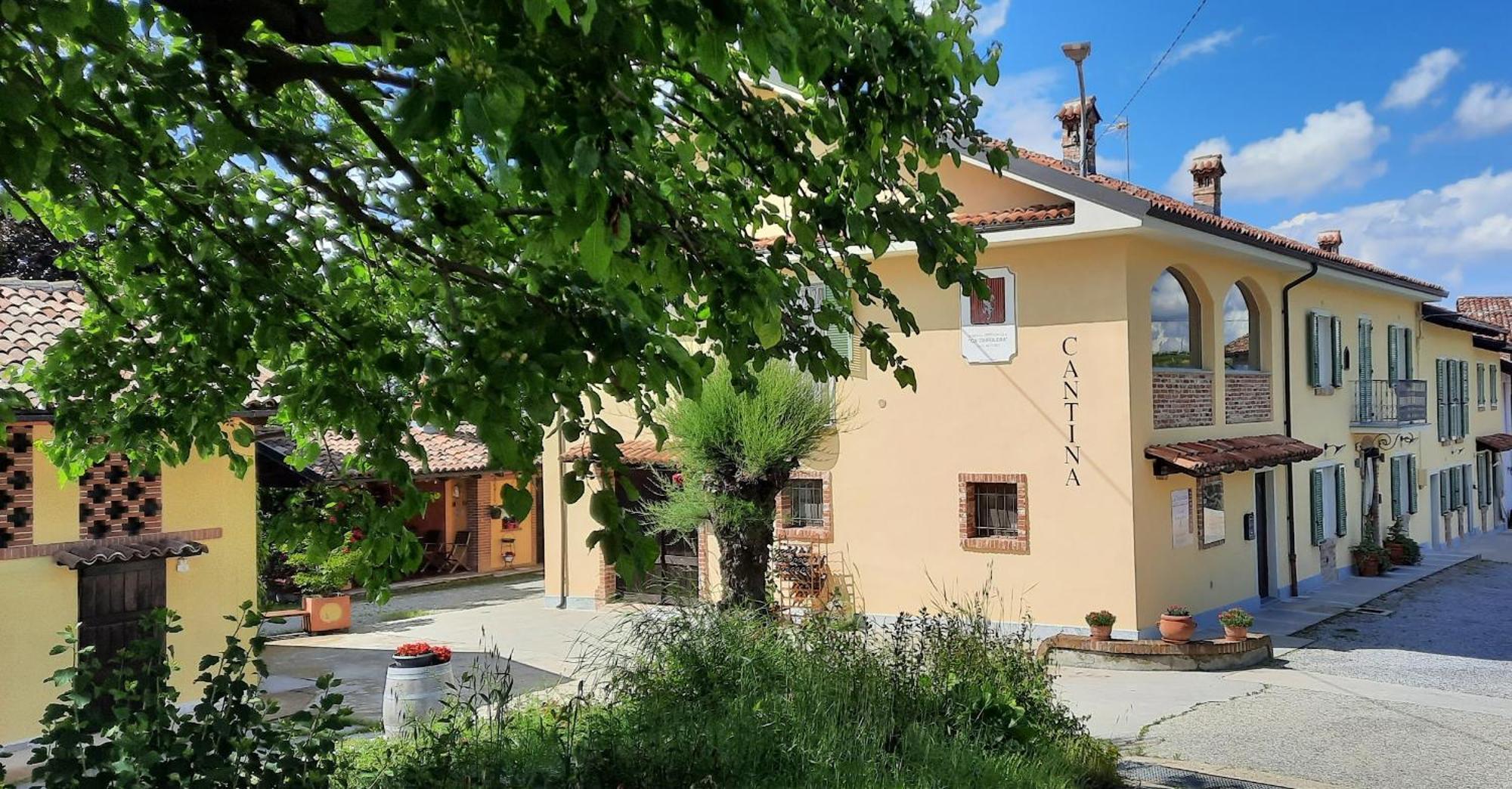 Ca Trifolera Barbaresco - Romantico Cascinale Con Antica Cantina Nel Cuore Delle Langhe - Degustazione Vini Nella Nostra Cantina 외부 사진