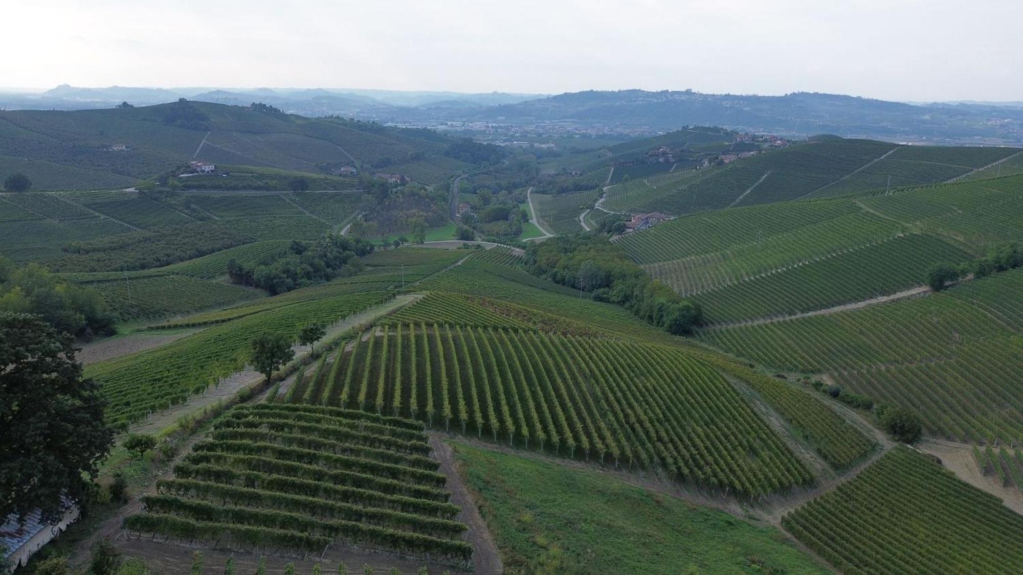 Ca Trifolera Barbaresco - Romantico Cascinale Con Antica Cantina Nel Cuore Delle Langhe - Degustazione Vini Nella Nostra Cantina 외부 사진