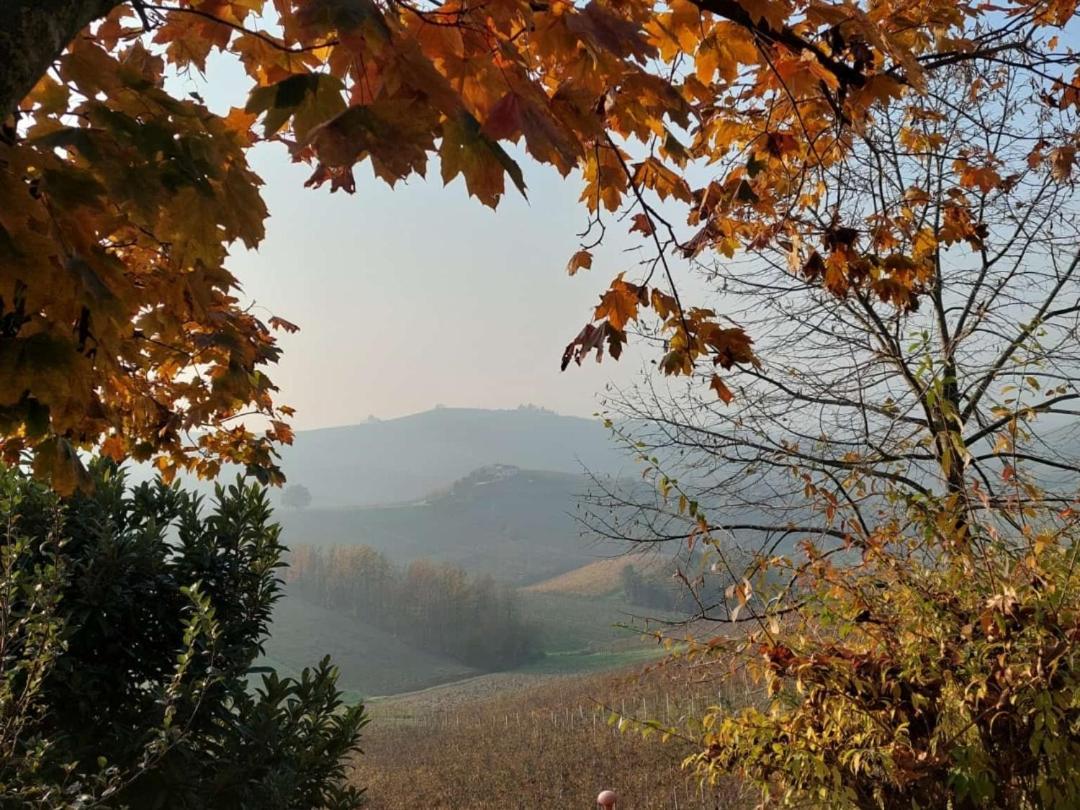 Ca Trifolera Barbaresco - Romantico Cascinale Con Antica Cantina Nel Cuore Delle Langhe - Degustazione Vini Nella Nostra Cantina 외부 사진
